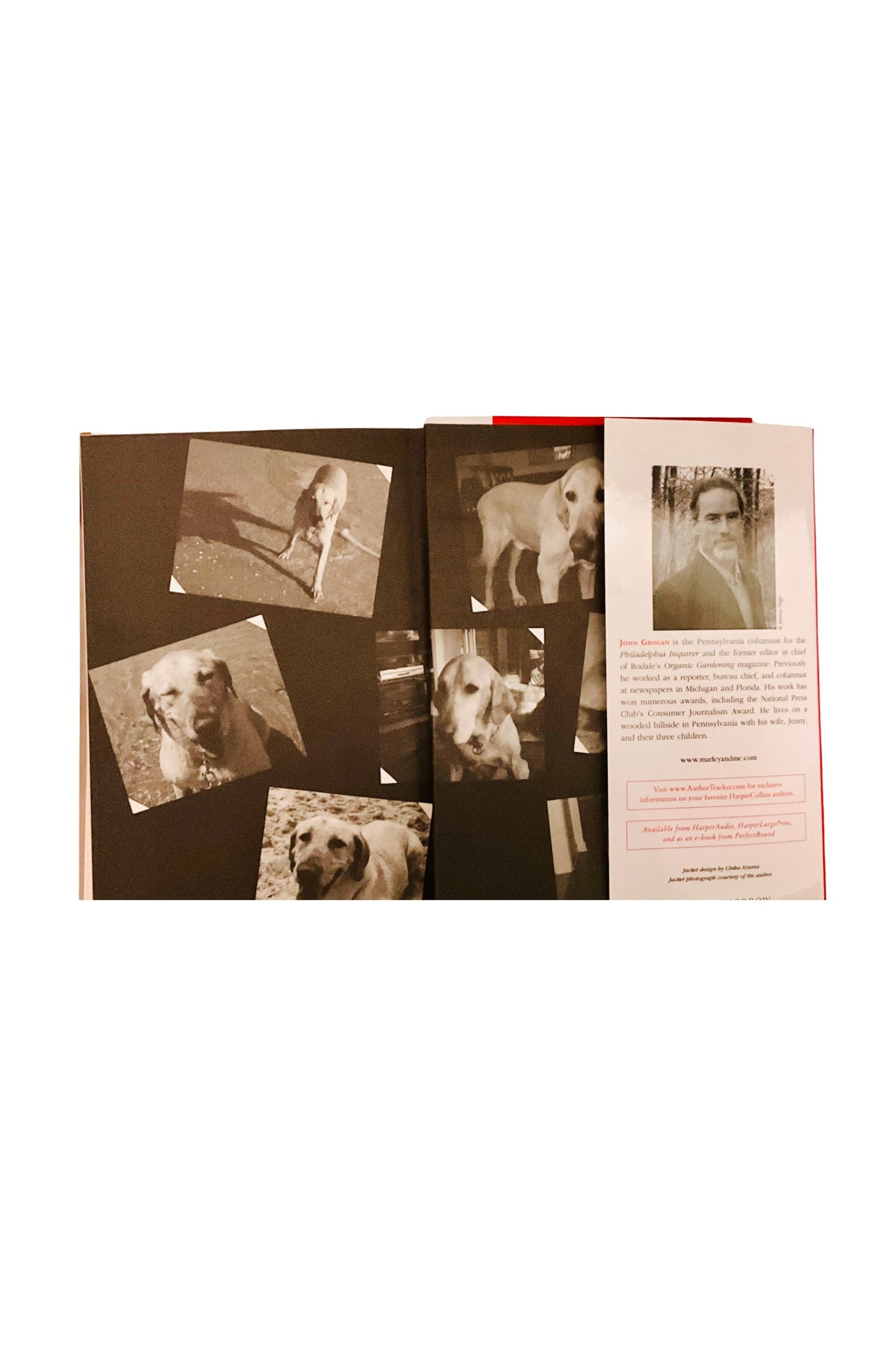 Book with black and white photos of a dog on a white background