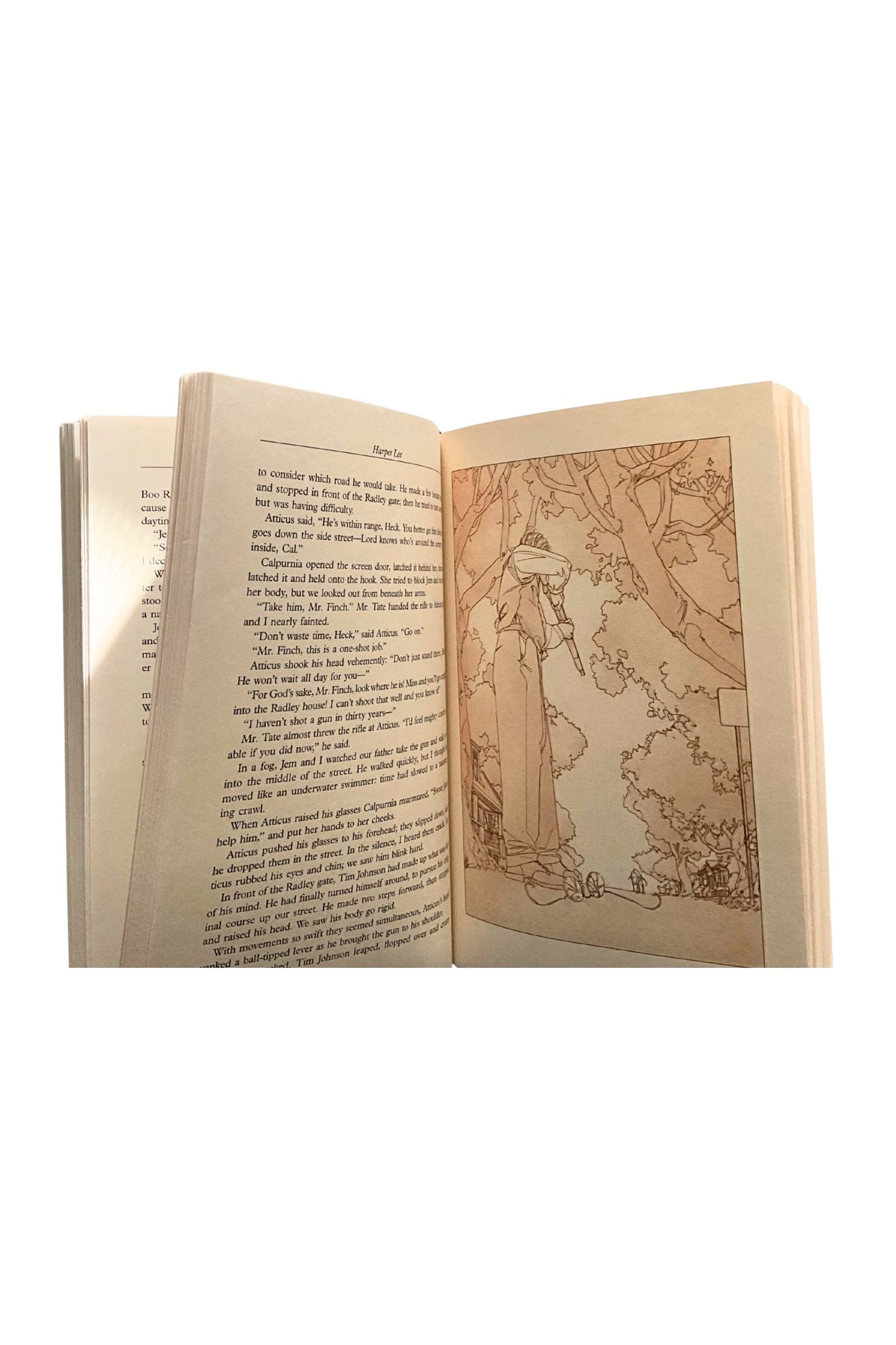 Open book with text and a map illustration on a white background