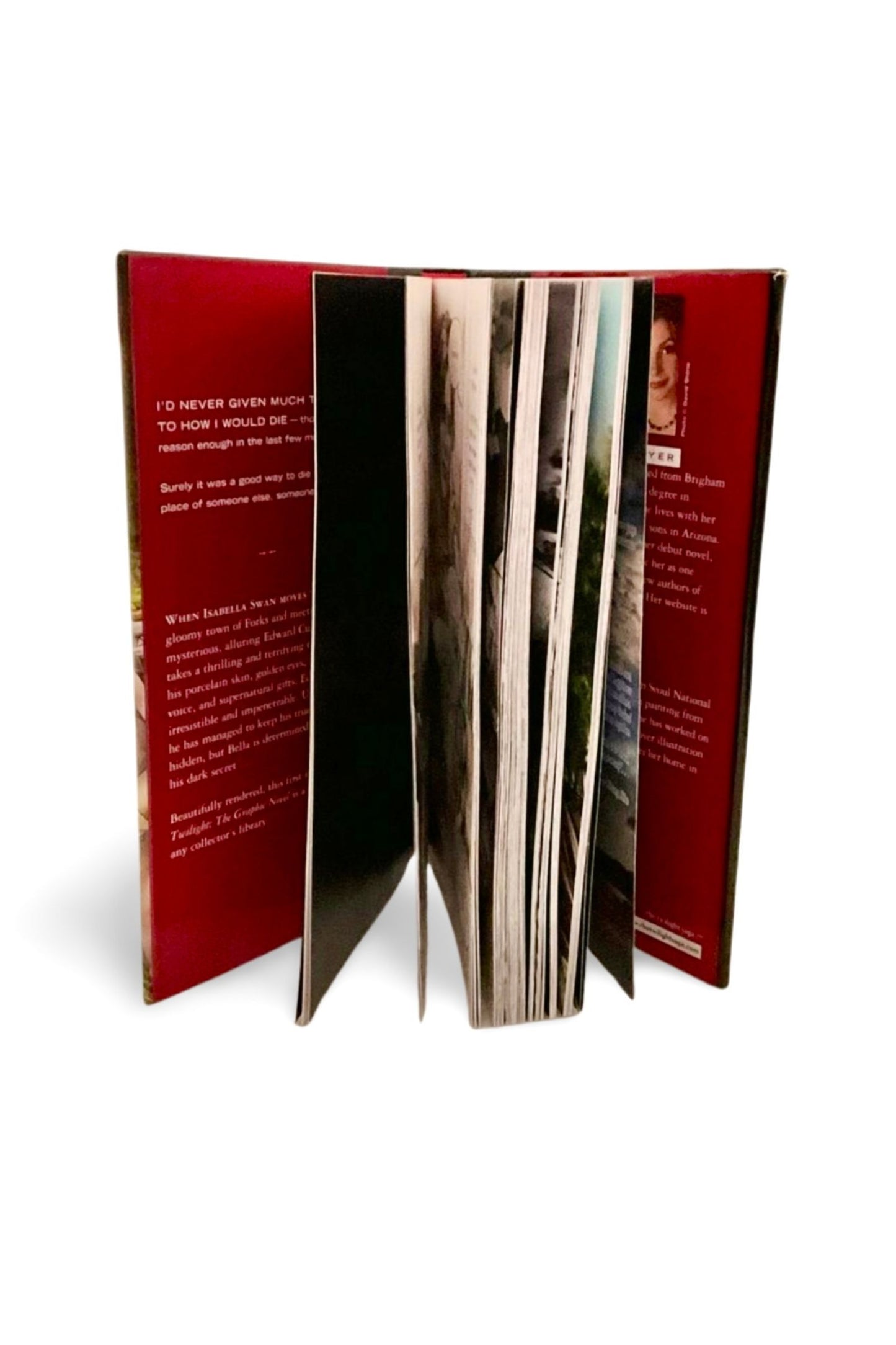 Twilight: The Graphic Novel, Volume 1 — 2010, 1st Edition / 1st Printing, HCDJ