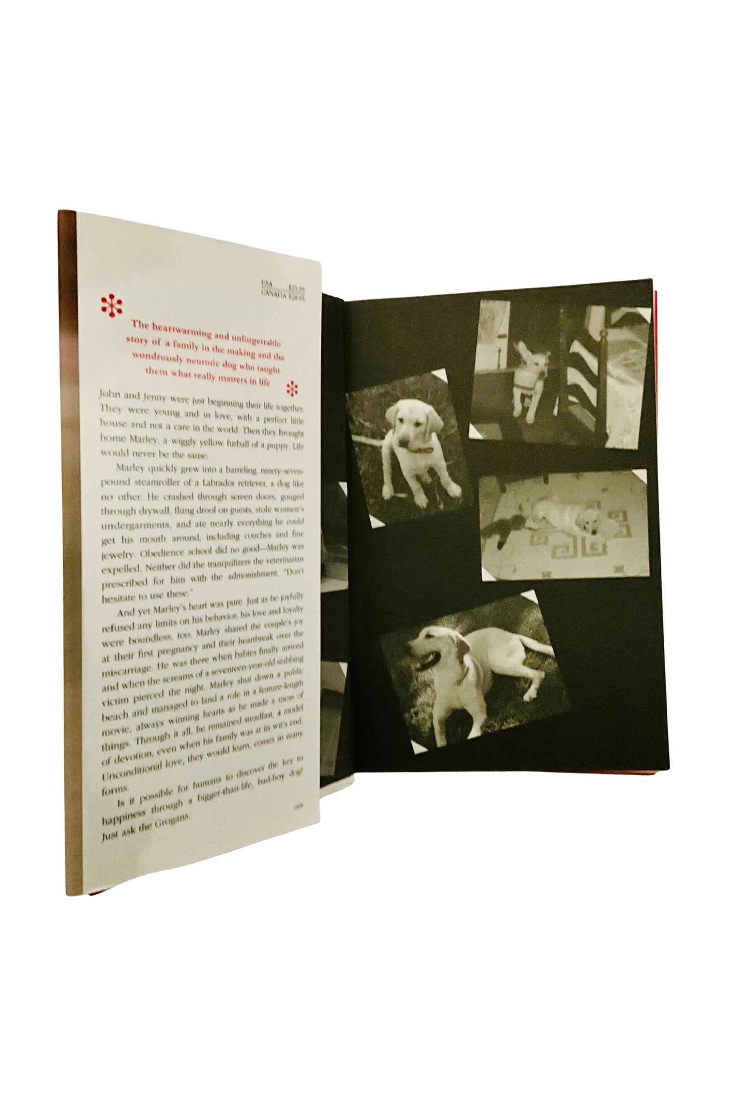 Open book with text and black and white photos of a dog on a white background