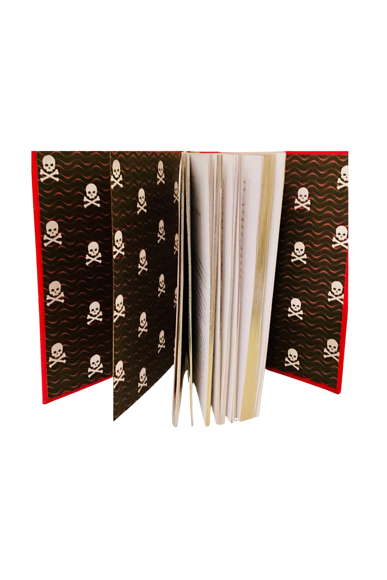 Book with skull and crossbones design on the inside  cover
