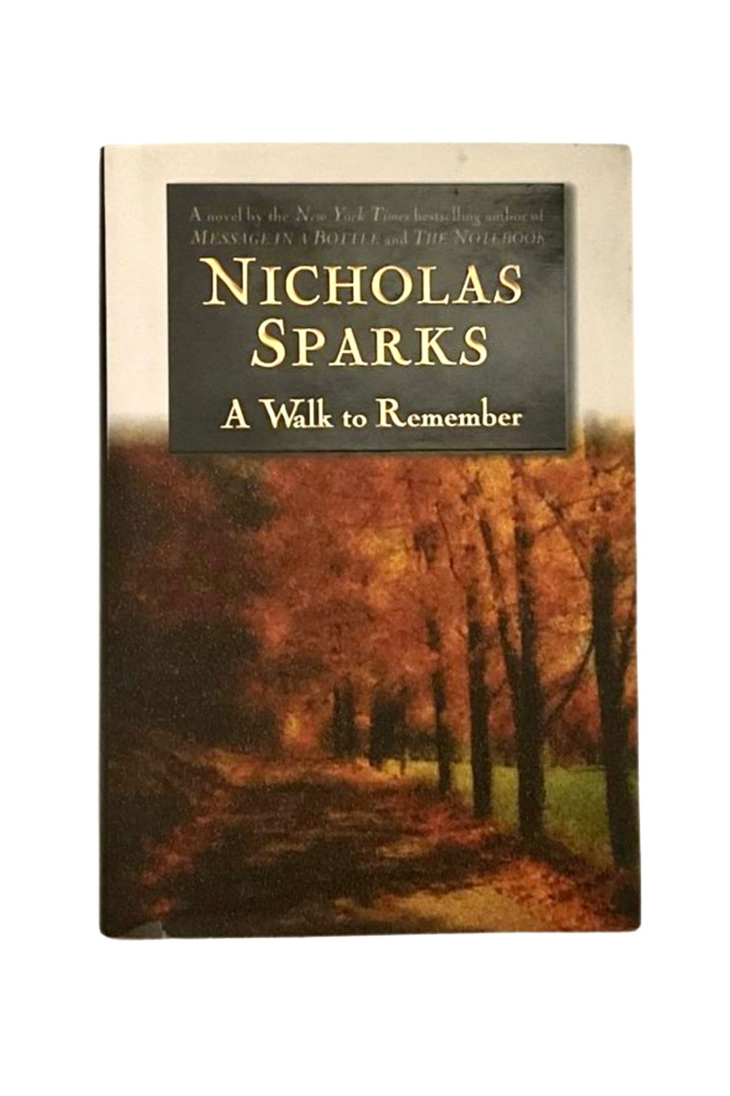 A Walk to Remember, 1999 First Edition HCDJ