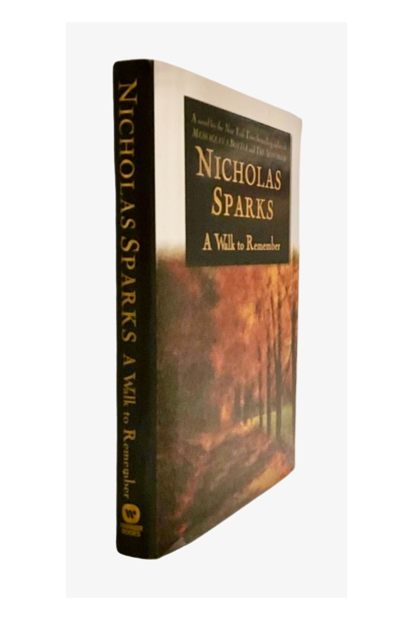 A Walk to Remember, 1999 First Edition HCDJ