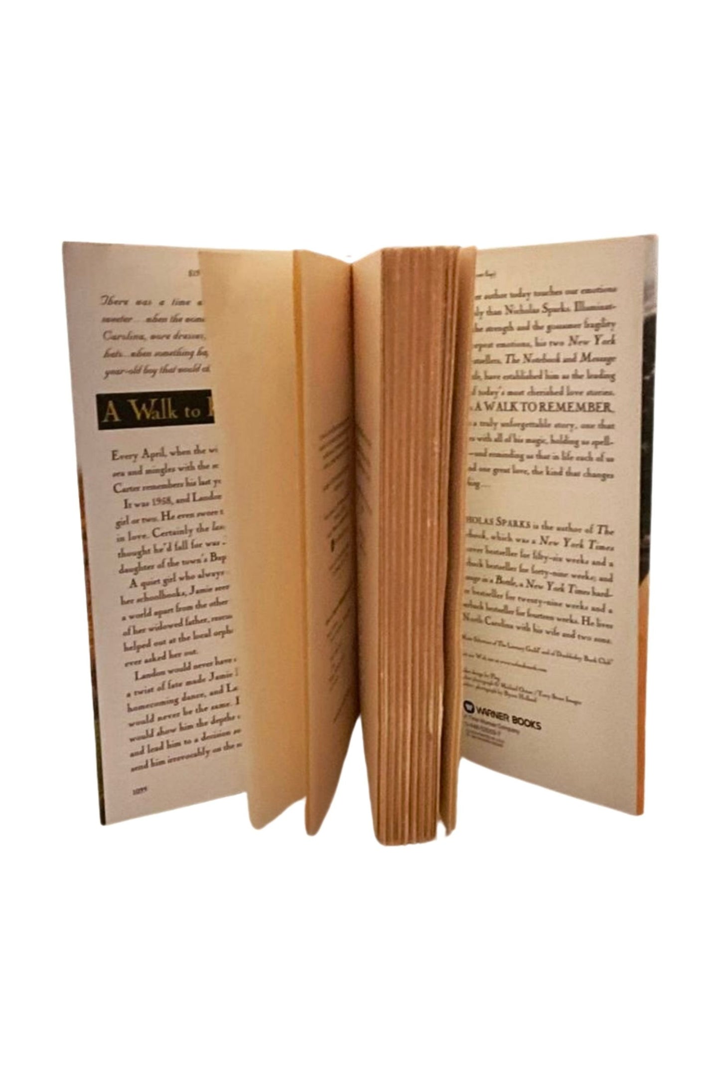 A Walk to Remember, 1999 First Edition HCDJ