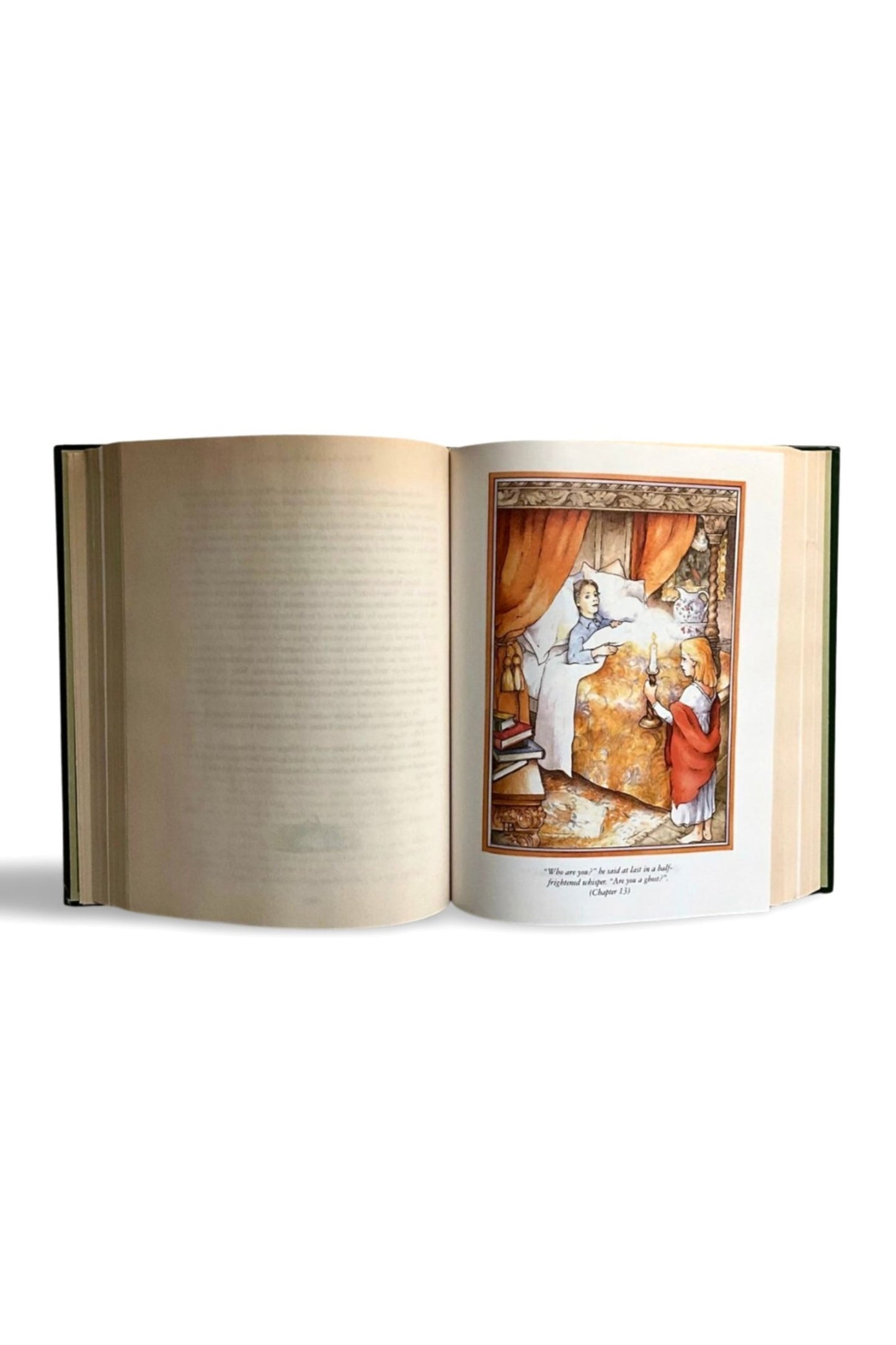 The Secret Garden/A Little Princess by Frances Hodgson Burnett (1999, Anness Publishing Limited) -Illustrated by Jan Burridge