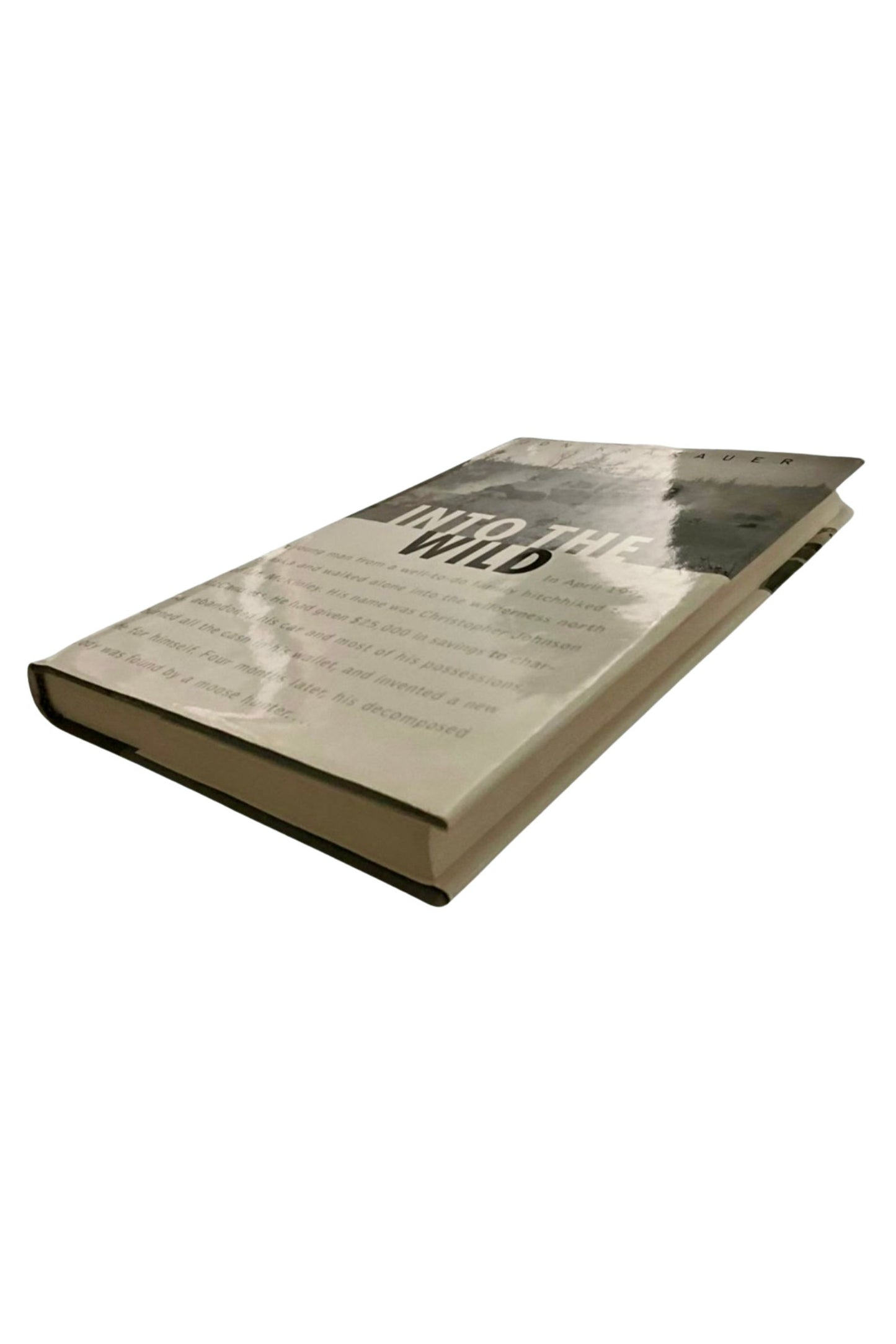 Into The Wild (1996)