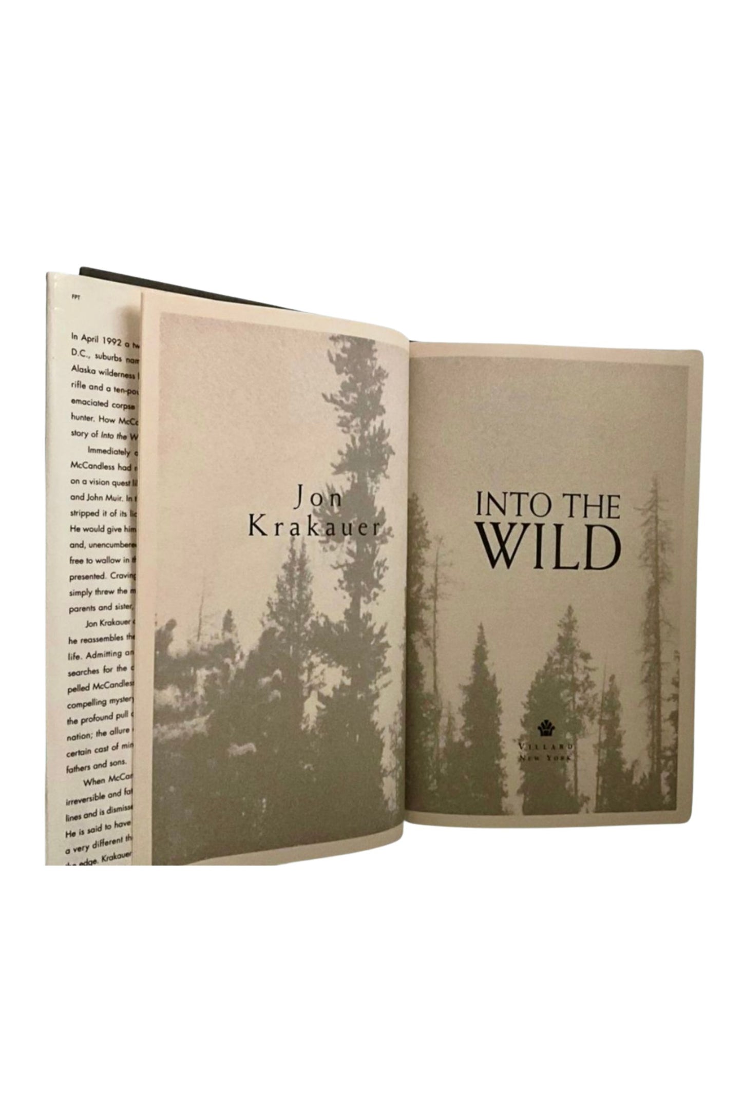 Into The Wild (1996)