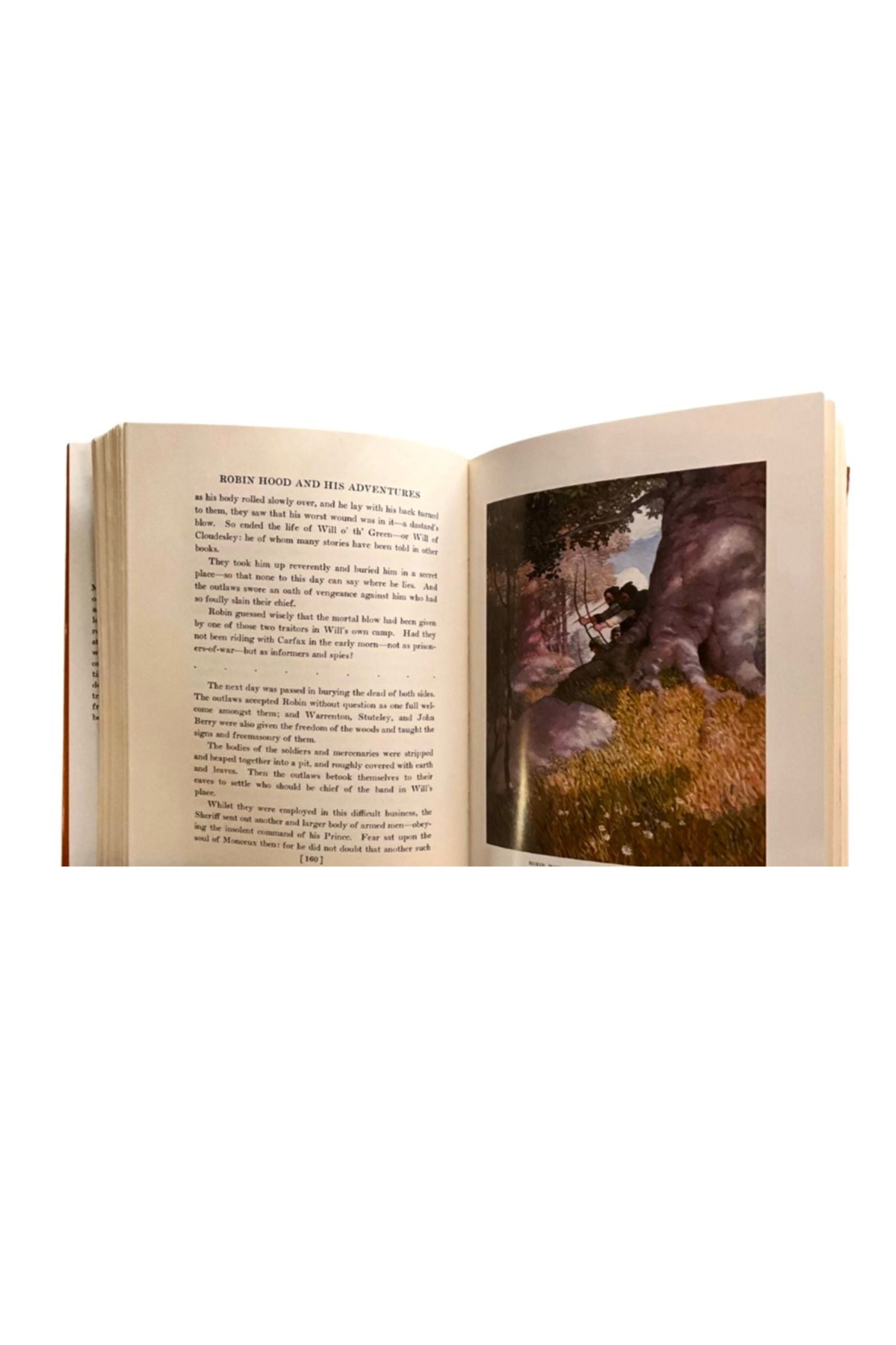 Open book with text and a colorful illustration on a white background