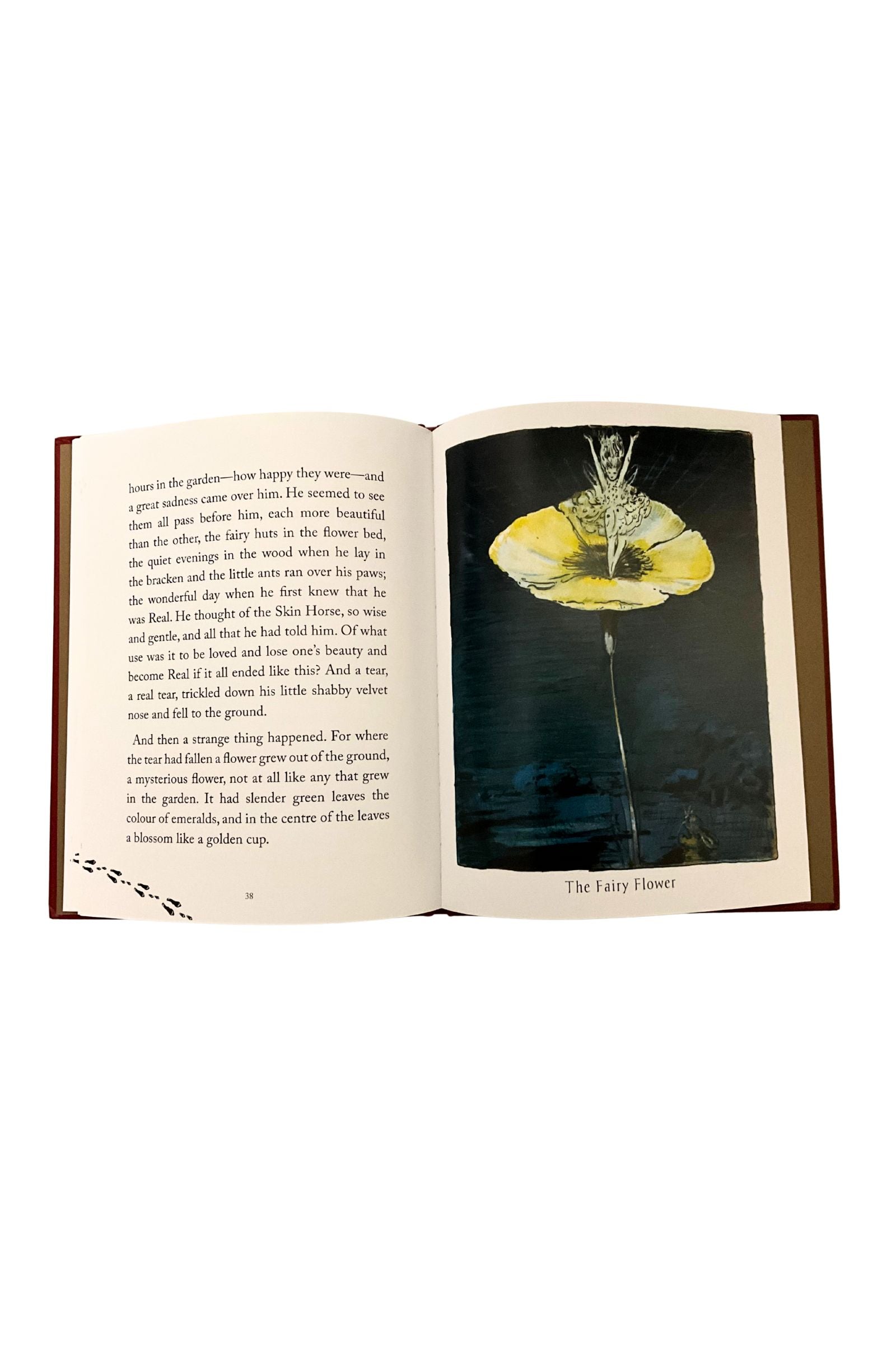 Open book with a photograph of a yellow flower on a white background