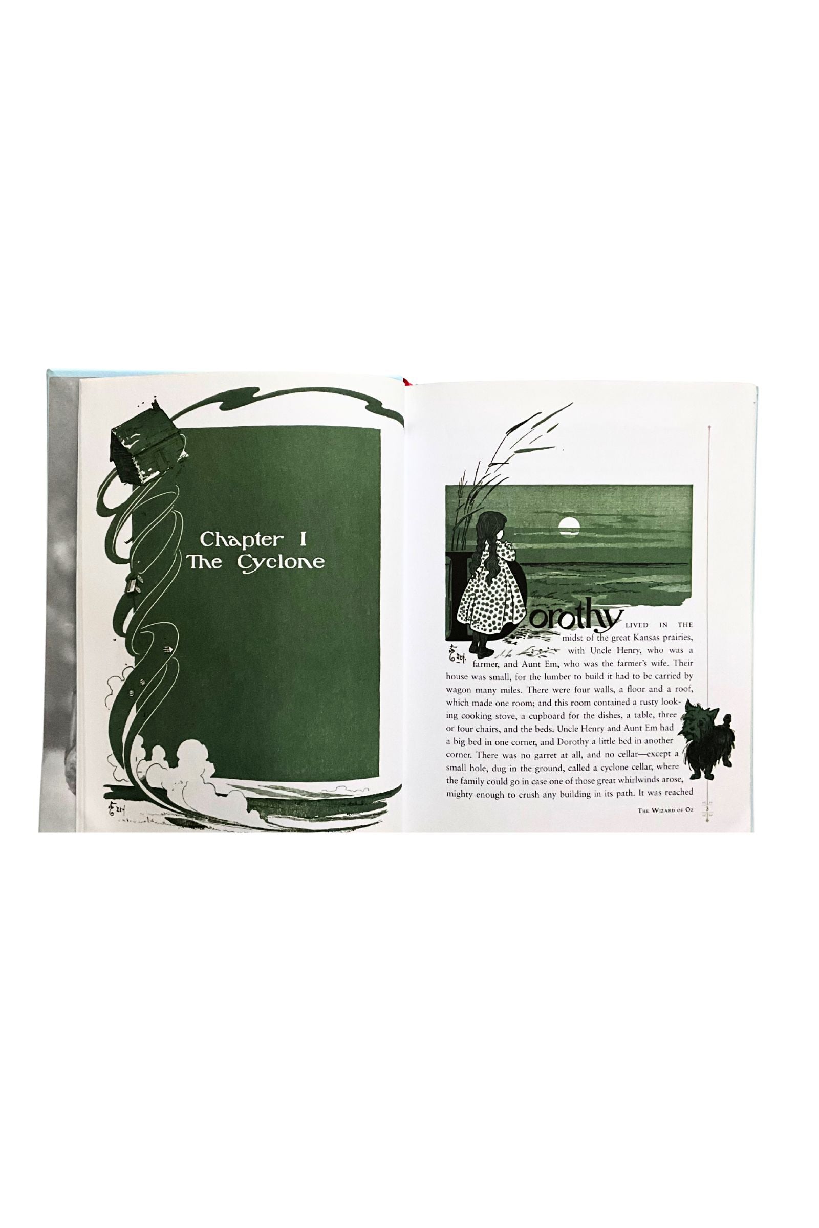 Open book with illustrations and text on a white background