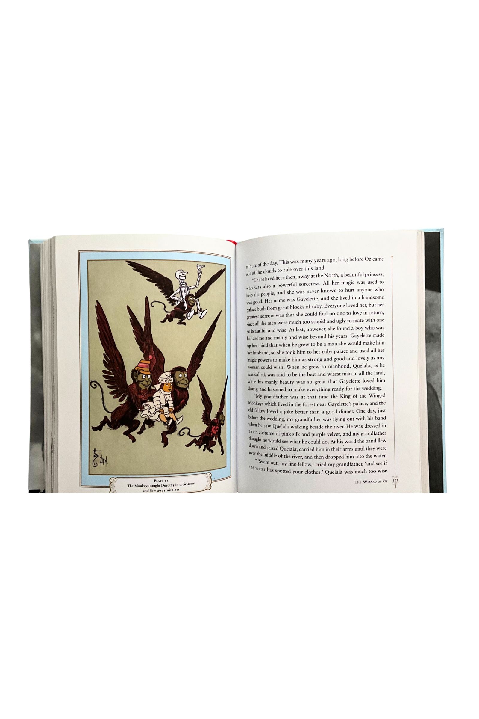 Open book with illustrations of winged creatures on a white background