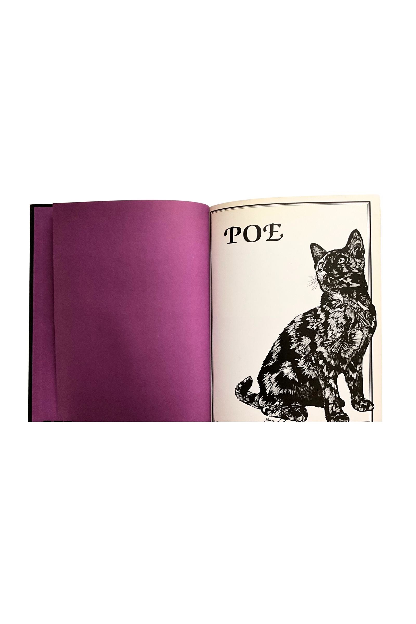 Open book with a purple page and a cat illustration on a white background