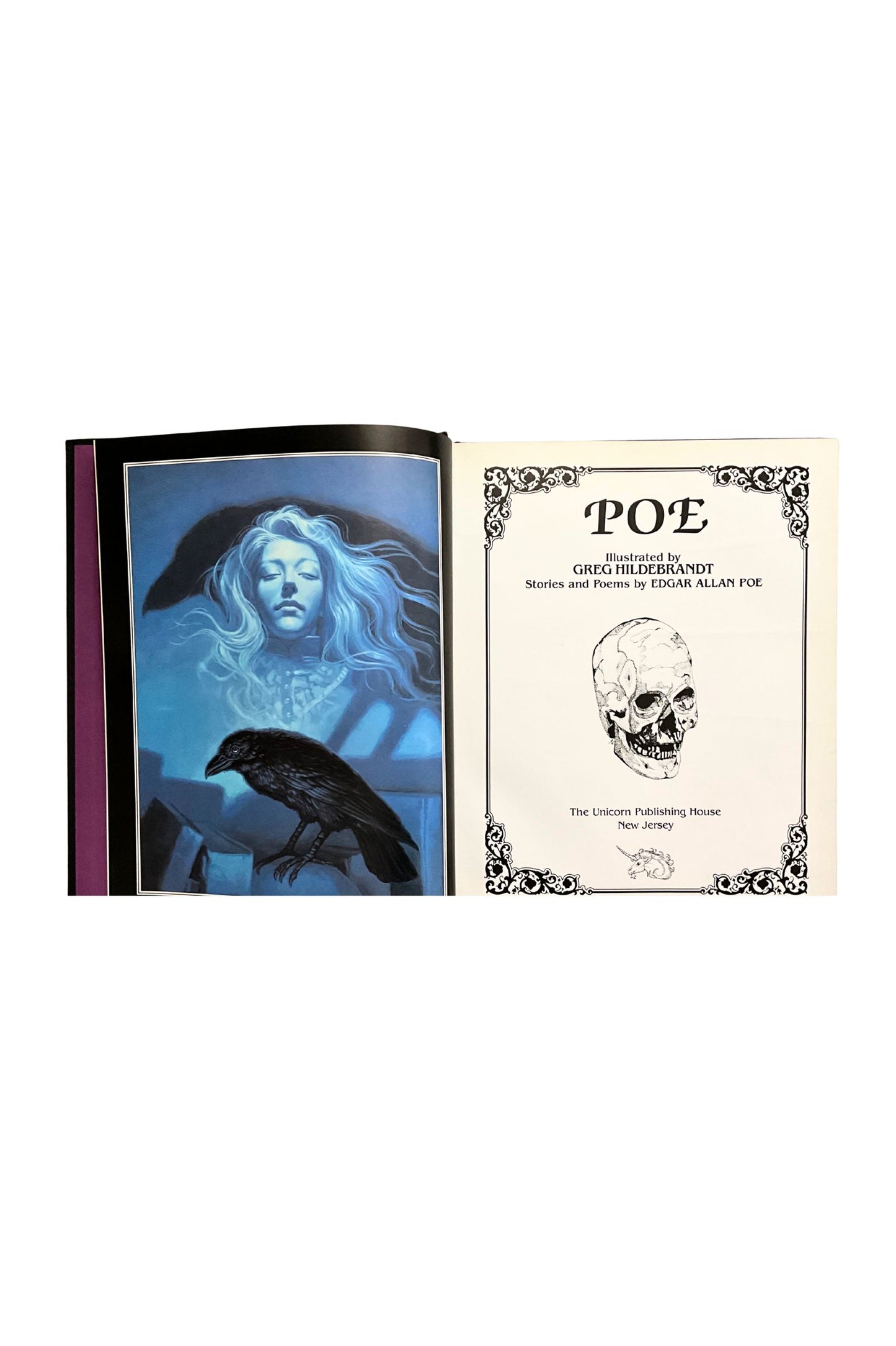 Open book with illustrations of a woman, raven, and skull on the left and the title on the right, shown on a white background