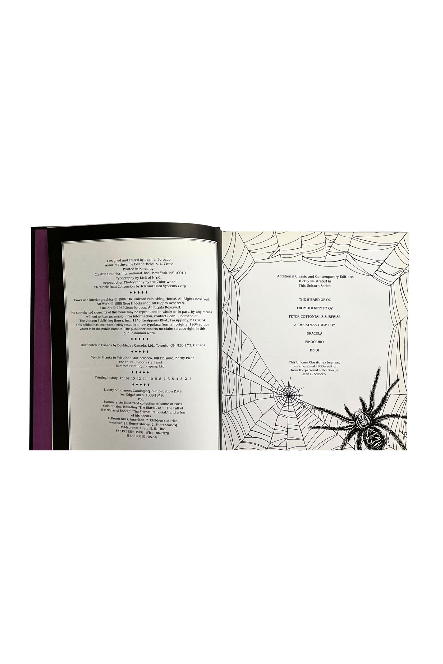 Open book with spider and web design, as well as the copyright information, set against a white background