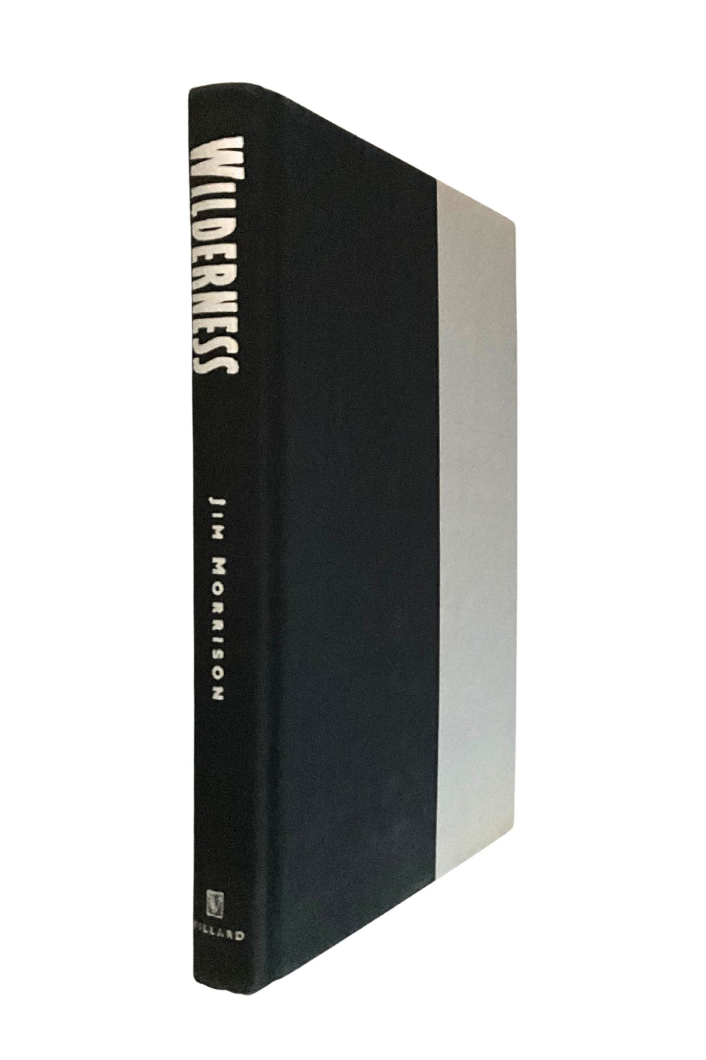 Book titled 'Wilder ness' by Jim Morrison with black and gray cover, showing the spine, on a white background