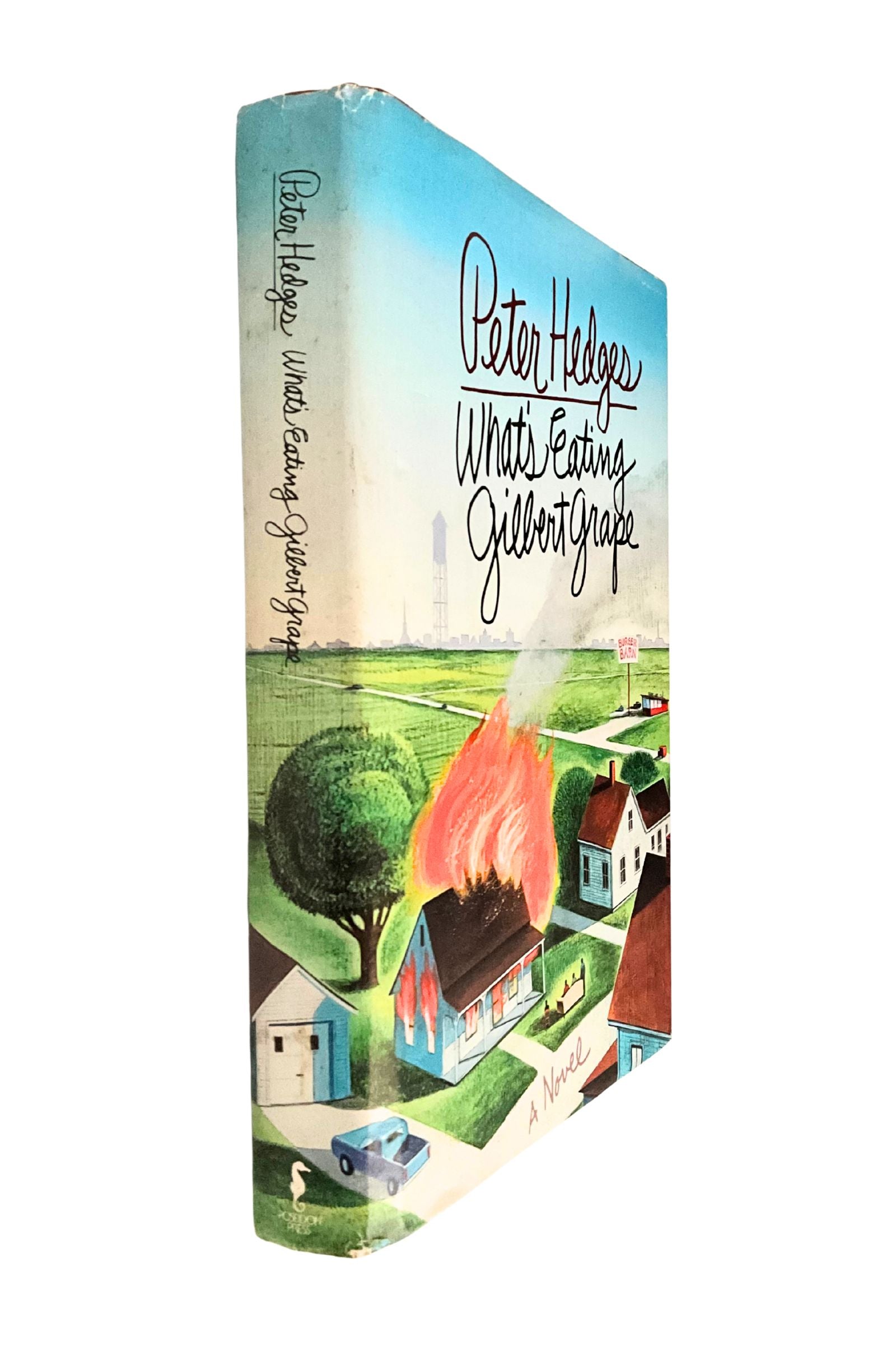 Book cover with a stylized illustration of a house on fire and a landscape.