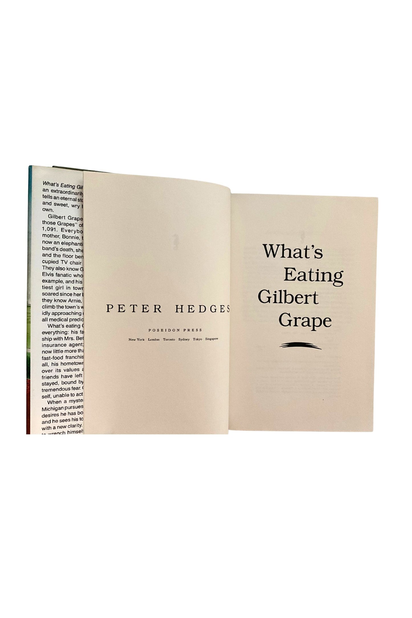 Open book titled 'What's Eating Gilbert Grape' by Peter Hedges on a white background
