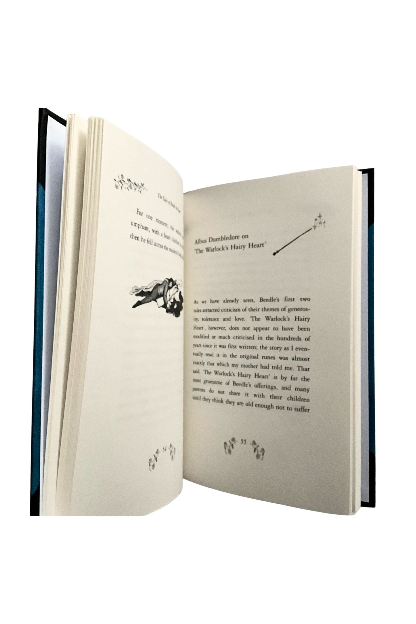Open book with text and illustrations on a white background