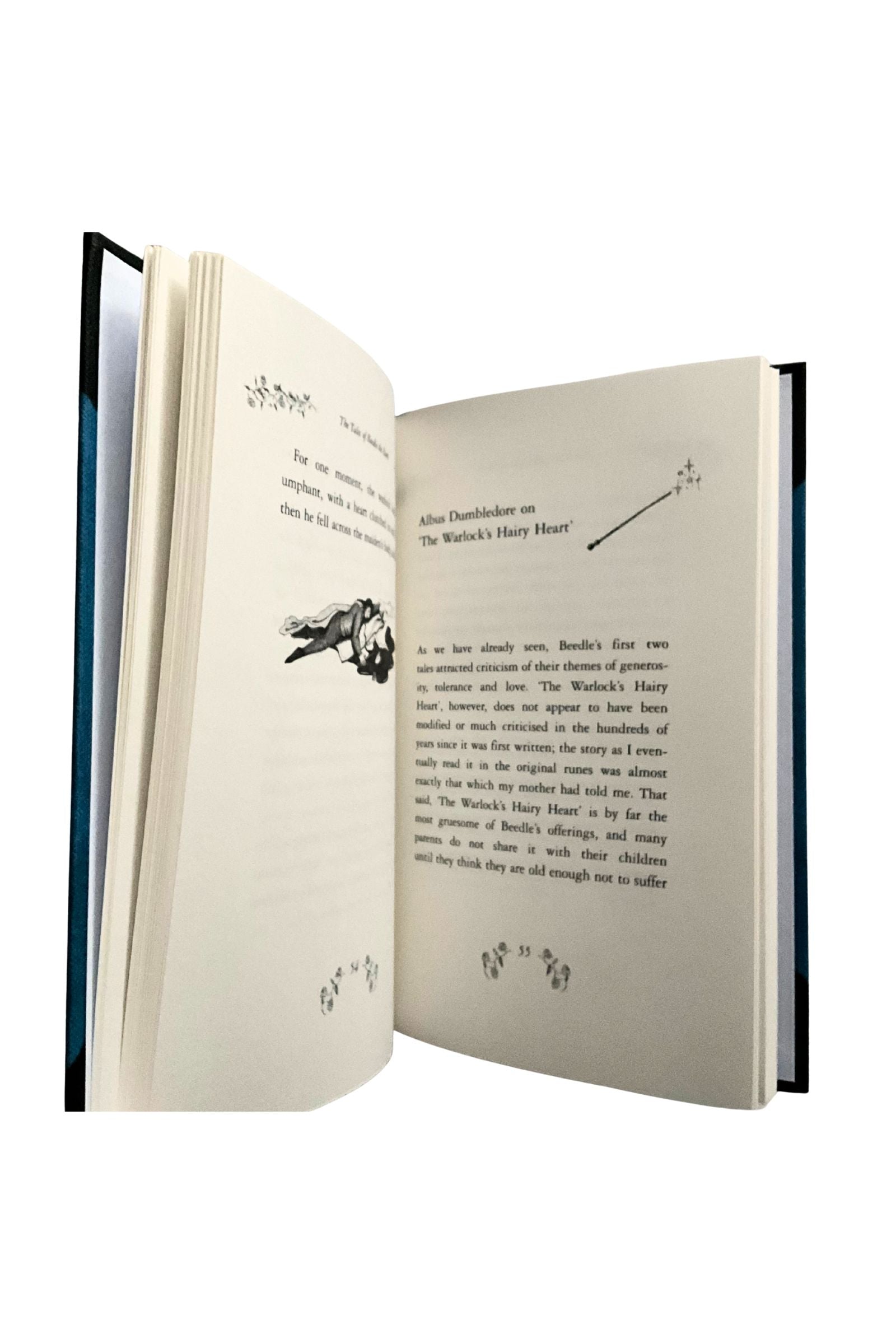 Open book with text and illustrations on a white background