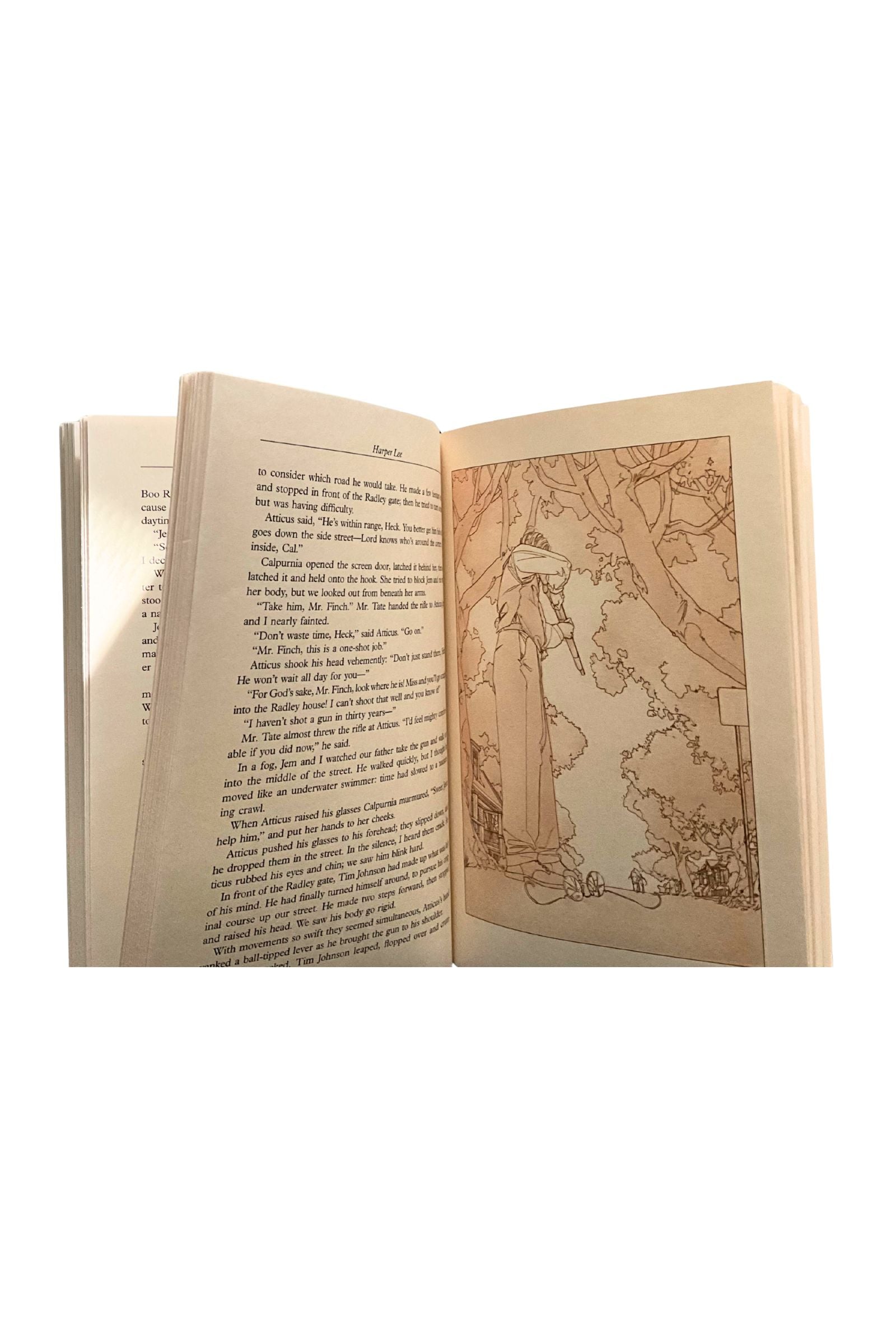 Open book with text and a map illustration on a white background