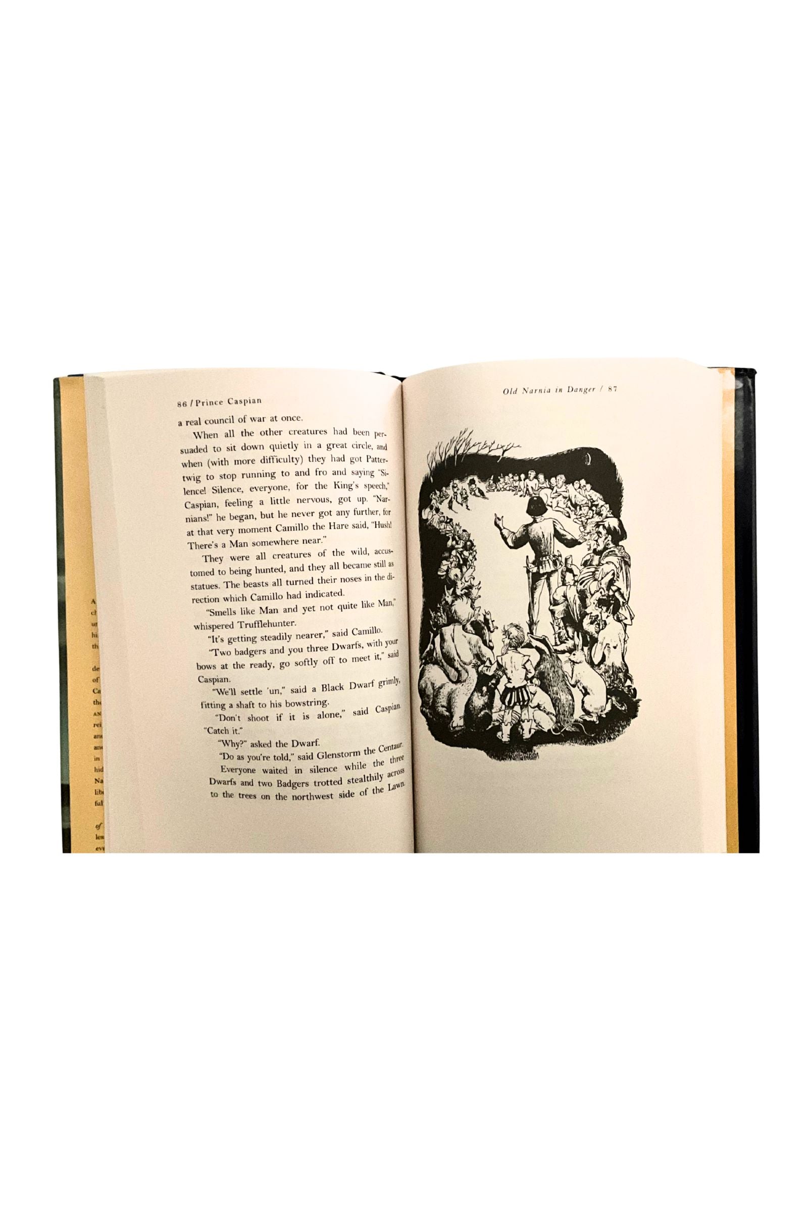 Open book with text and a black and white illustration on a white background