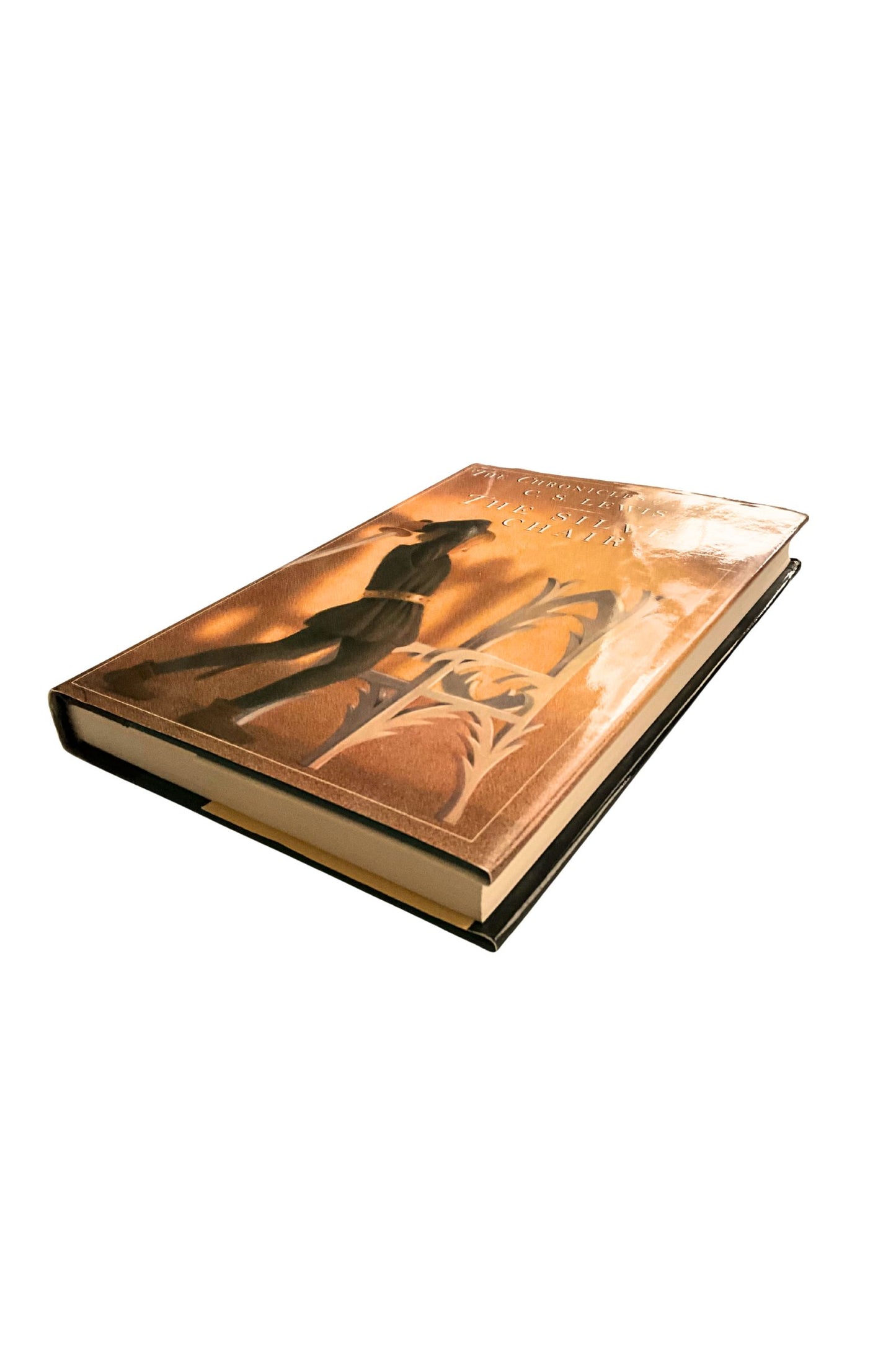 Book with a reflective cover featuring artistic design on a white background