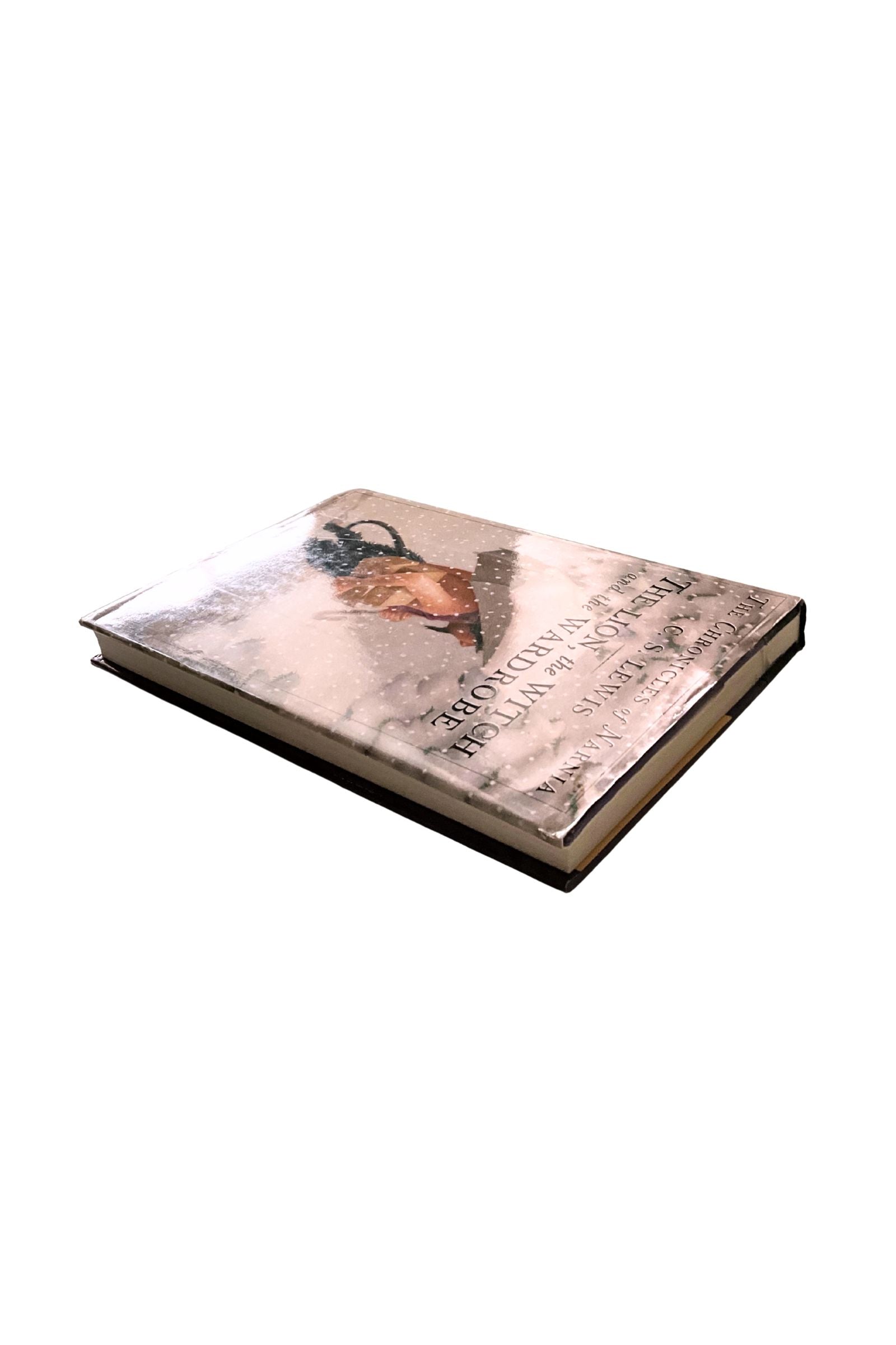 ‘The Lion, the Witch, and the Wardrobe’ book, shown against a white background