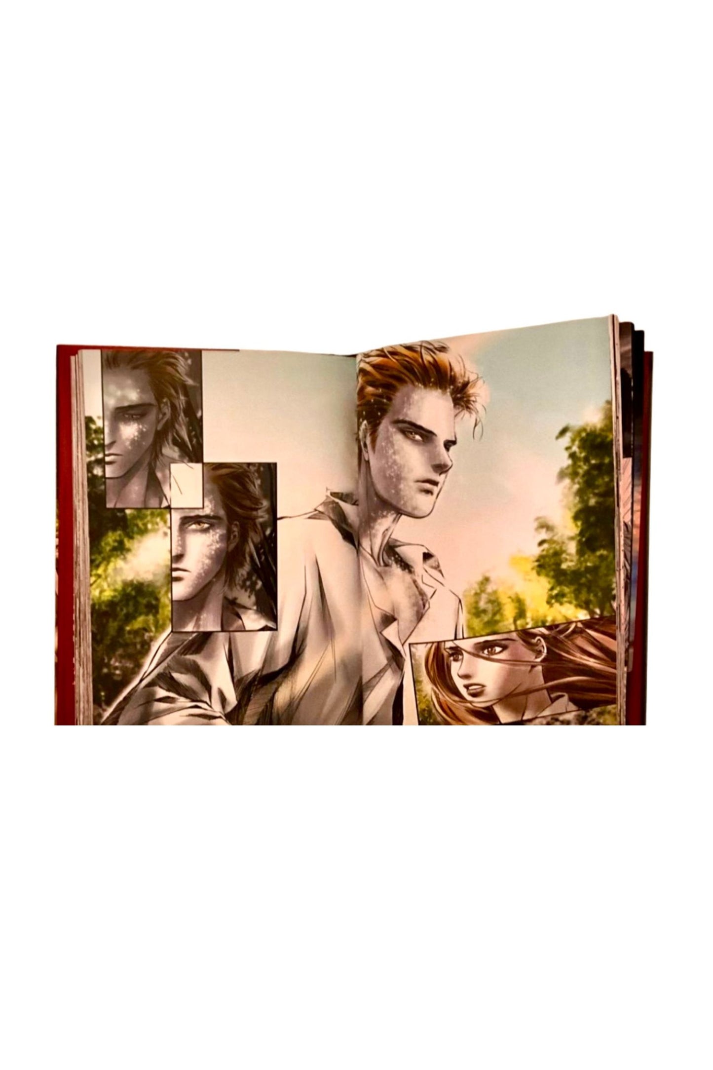 Twilight: The Graphic Novel, Volume 1 — 2010, 1st Edition / 1st Printing, HCDJ