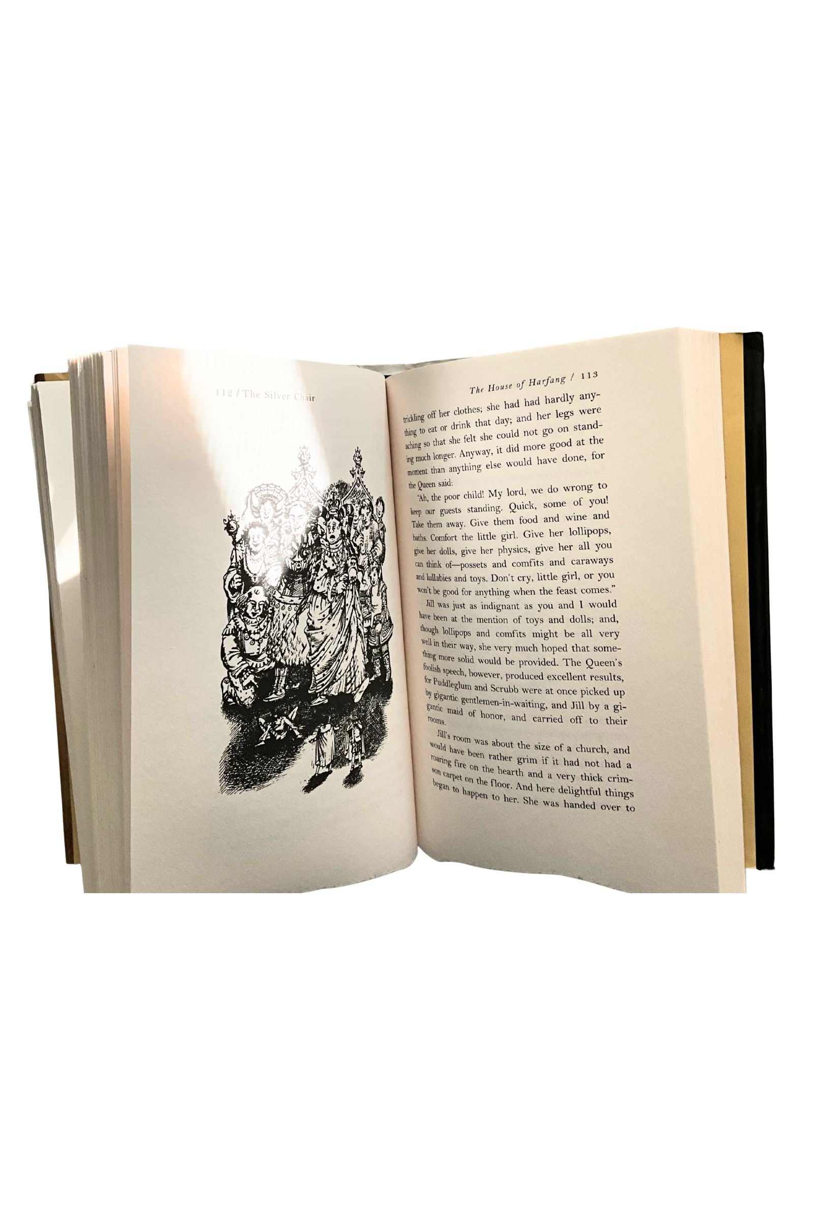 Open book with a black and white illustration on a white background