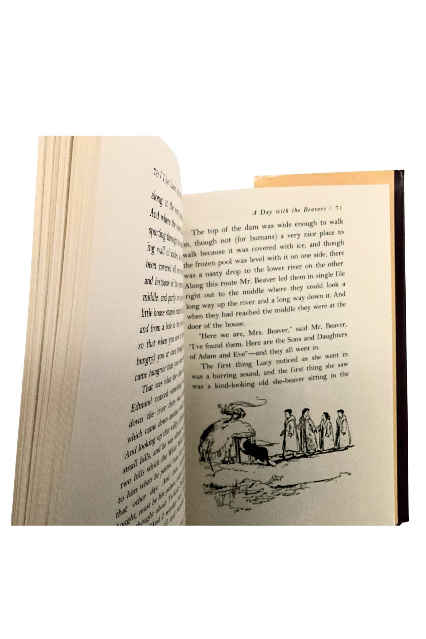 Open book with text and illustrations on a white background