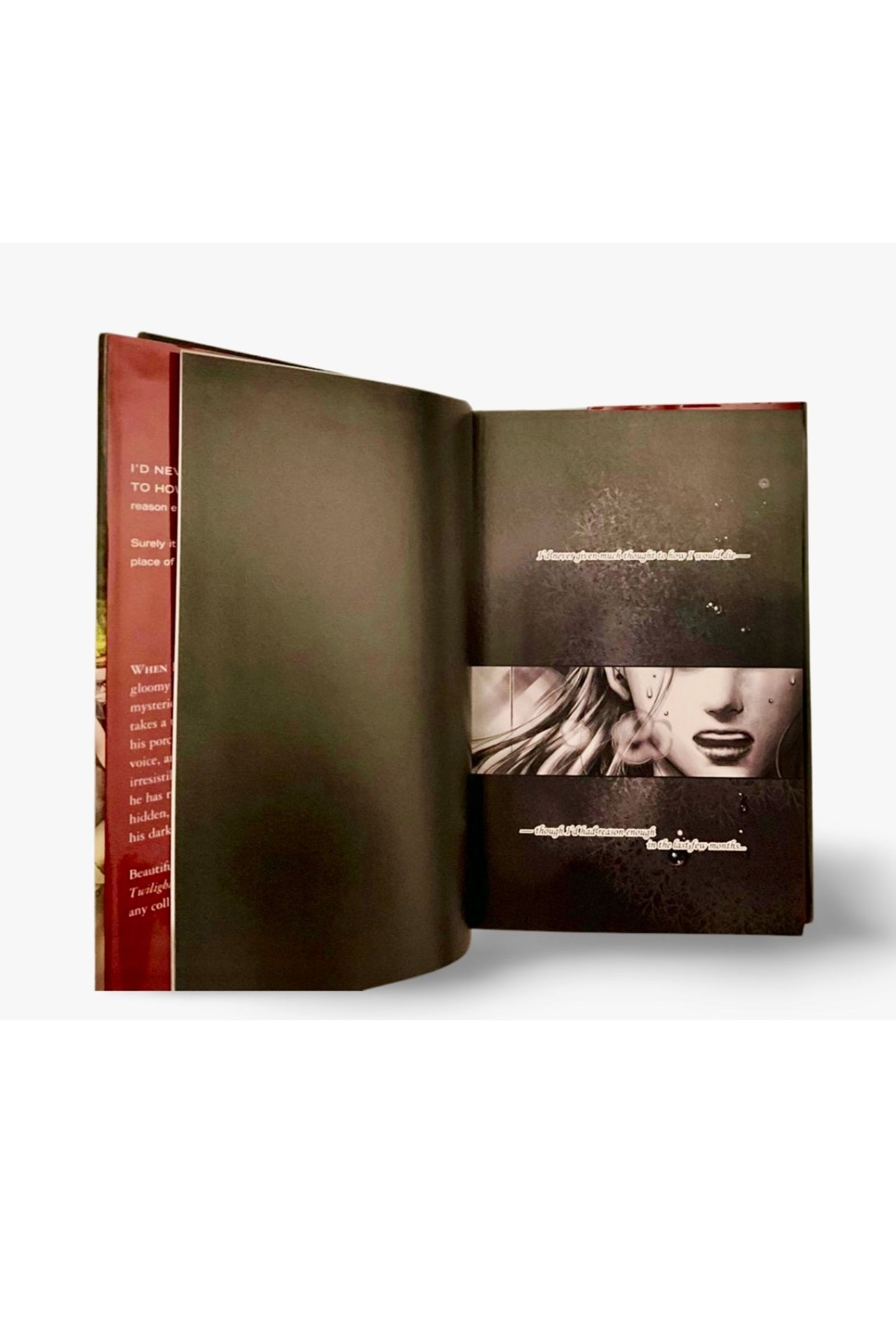 Twilight: The Graphic Novel, Volume 1 — 2010, 1st Edition / 1st Printing, HCDJ